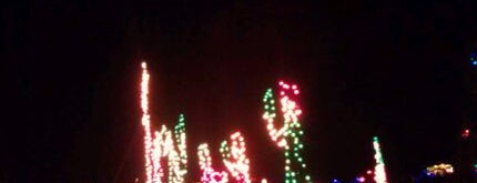 Los Gatos Fantasy of Lights at Vasona Park is one of Fun Fun!!.