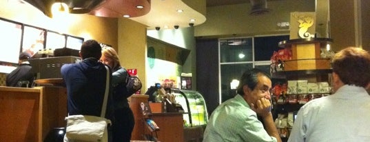 Starbucks is one of Posti che sono piaciuti a Javier.