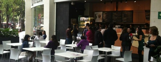 Starbucks is one of Rocío : понравившиеся места.