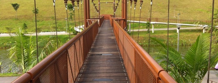 Adventure Bridge is one of Punggol Town Park.