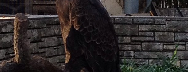 San Antonio Zoo is one of Historic San Antonio.