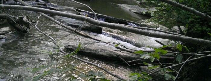 Morgan Run Natural Environment Area is one of Places to fish.