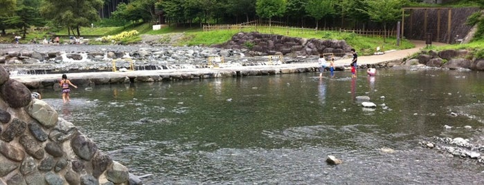 県立秦野戸川公園 is one of 神奈川県の公園.