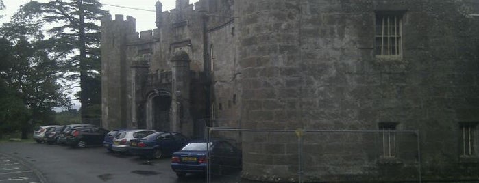 Balloch Castle is one of Scottish Castles.