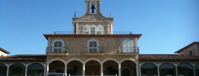 Bodegas Arzuaga Navarro is one of Bodegas.