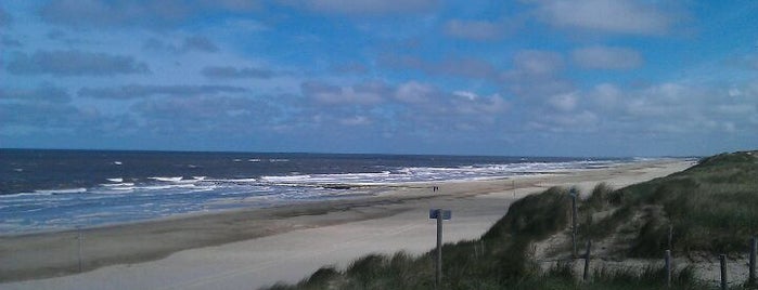 Strand Petten is one of Odetteさんのお気に入りスポット.