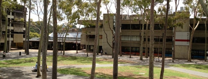 Macquarie University Central Courtyard is one of Macquarie University.