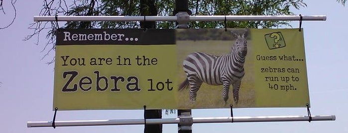 Zebra Parking Lot is one of The Zoo!!.