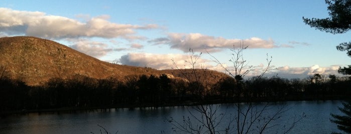 Bear Mountain State Park is one of Places to go.