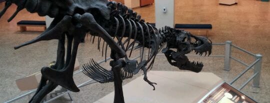 New Mexico Museum of Natural History & Science is one of Locais salvos de Dario.