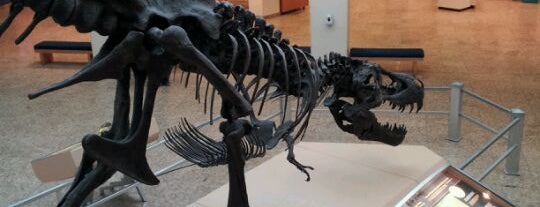 New Mexico Museum of Natural History & Science is one of Zach's Saved Places.