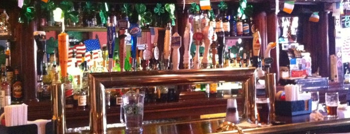 Irish Rover is one of Borough Bars to Check Out.