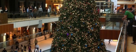 The Galleria is one of Hoiberg's Favorite Malls.