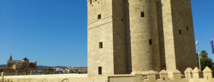 Torre de la Calahorra is one of ¿Qué visitar en el entorno de Almodóvar del Río?.