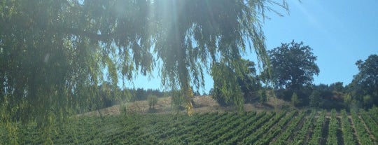 Porter Creek Winery is one of Sonoma Region.