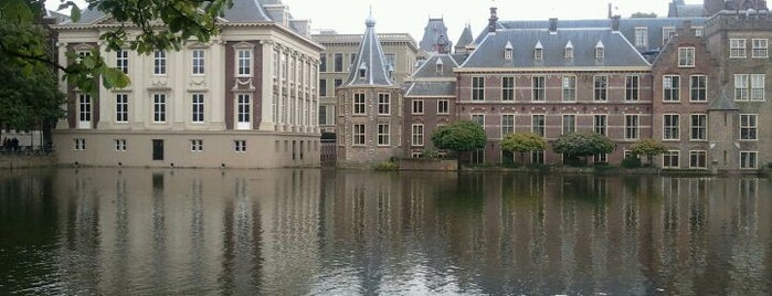 The Hague #4sqCities