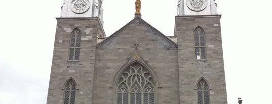 Notre Dame Cathedral Basilica is one of Canada Favorites.