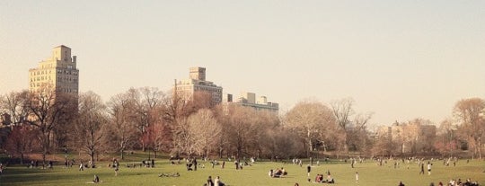 Long Meadow is one of Park Highlights of NYC.