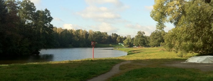 Kuzminki Park is one of Красивые места для Фотопрогулок.