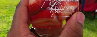 Linganore Winecellars is one of Maryland Vineyards.