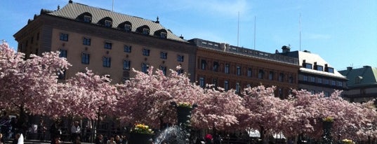 Kungsträdgården is one of Stockholm Favorites.
