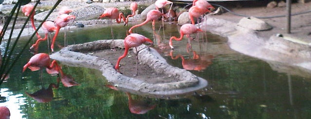 Fundación Botánica y Zoológica de Barranquilla is one of Barranquilla, Colombia #4sqCities.