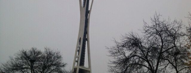 Space Needle is one of Places I've been.