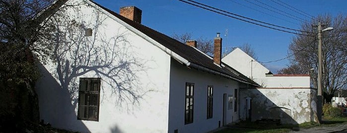 Zemanova kovárna is one of Poznej Holešov.
