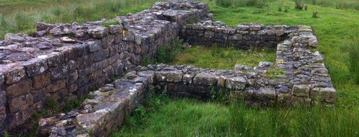 Housesteads Roman Fort is one of Tempat yang Disukai Carl.