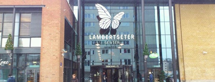 Lambertseter Senter is one of Posti che sono piaciuti a Guro.