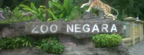 Zoo Negara (National Zoo) is one of Best places in Kuala Lumpur, Malaysia.