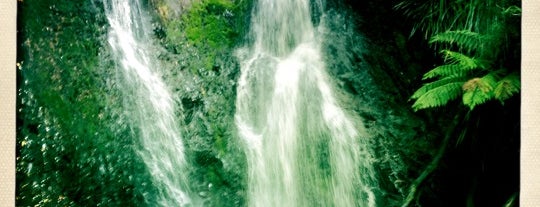 Hogarth Falls is one of Orte, die Sandip gefallen.