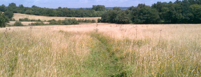 Walk 16: North Mymms to South Mimms ridge route from Brookmans Park is one of Hertfordshire pub walks.