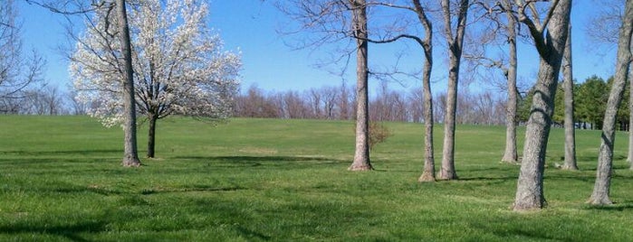 Jacobson Dog Park is one of Lexington Dog Parks.