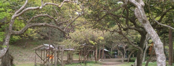 海神神社 is one of 諸国一宮.