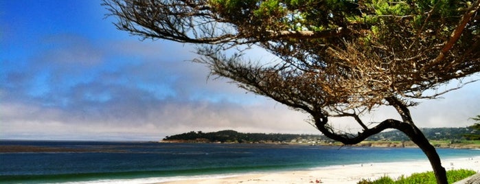 Carmel Beach City Park is one of San Francisco - May 2017.