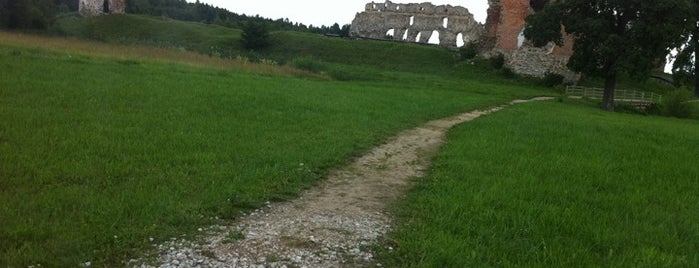 Laiuse Castle Ruins is one of Europe To-do list.