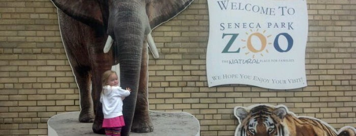 Seneca Park Zoo is one of Family-friendly Destinations around Rochester, NY.