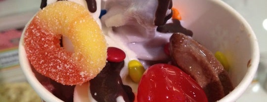 Tutti Frutti Frozen Yogurt is one of places in Cebu I want to visit.