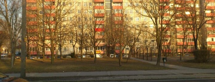 Albertfalva utca (17, 41, 47, 47B, 48, 56) is one of Budai villamosmegállók.