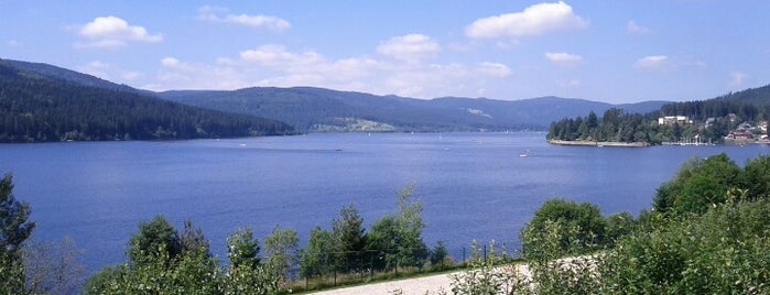 Schluchsee is one of Merveさんのお気に入りスポット.