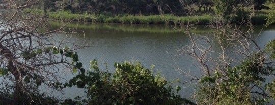 Brushy Creek Lake Park is one of Running Trails.