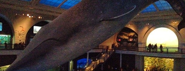 Milstein Hall of Ocean Life is one of Lugares favoritos de Dave.