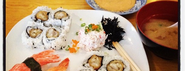 Tokyo Japanese Restaurant & Sushi Bar is one of Carlos Eats USF Dining Guide.