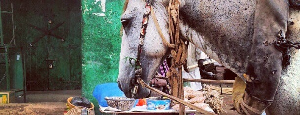 Omdurman Market is one of TARIKさんのお気に入りスポット.