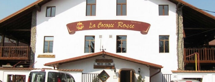 Restaurant Cocoșu' Roșu is one of Alexさんの保存済みスポット.