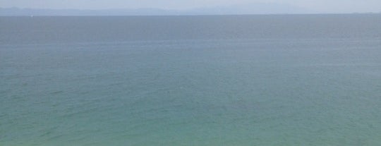 Playa Las Animas is one of Lugares favoritos de Gilberto.