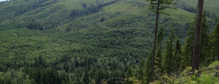 Tiger Mountain Summit is one of Felicity : понравившиеся места.