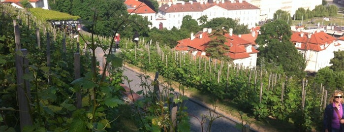 St. Wenceslas Vineyard is one of Austria, Czech Republic, Slovakia.