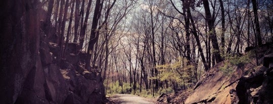 Conewago Trail - Mile 2.5 is one of Great places to run!.
